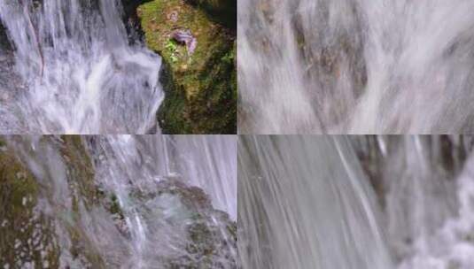 杭州植物园小溪流水风景视频素材高清在线视频素材下载