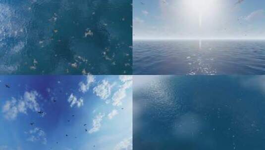 4K海鸥飞翔 海面夕阳下的海鸥群高清在线视频素材下载