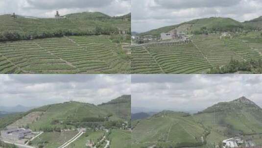 「有版权」原创航拍羊岩山茶文化园景区4K-2高清在线视频素材下载