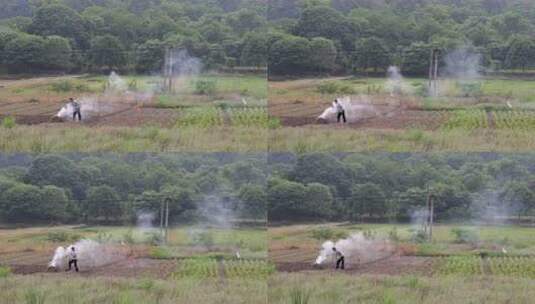 田间农民焚烧秸秆场景高清在线视频素材下载