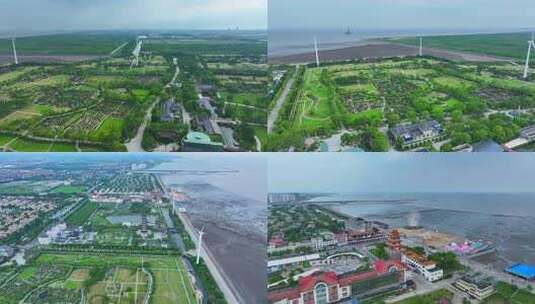 上海奉贤海岸线 海洋生态  渔人码头高清在线视频素材下载