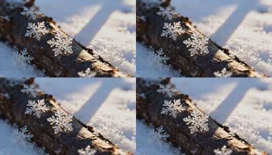 树枝上的雪花特写高清在线视频素材下载