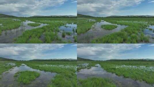 森林公园湿地夏日风景高清在线视频素材下载