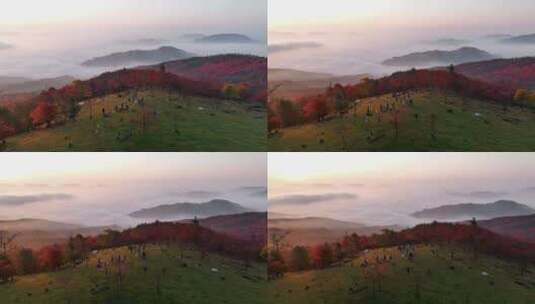 4K秋天看日出的人山顶爬山日出云海高清在线视频素材下载