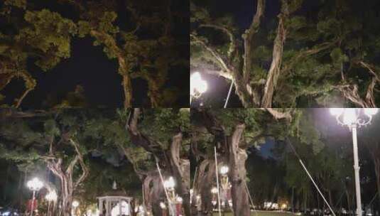 广州夜景人民公园音乐亭周边老榕树_8K高清在线视频素材下载
