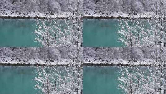 西藏昌都市然乌湖冬天冰河雾凇冰雪风景高清在线视频素材下载
