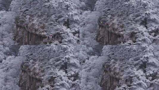 安徽黄山雪景高清在线视频素材下载