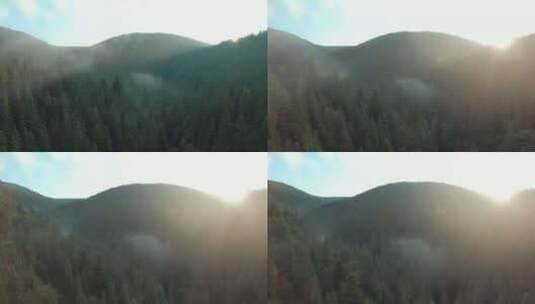森林雾气早晨云山雾绕仙境高清在线视频素材下载