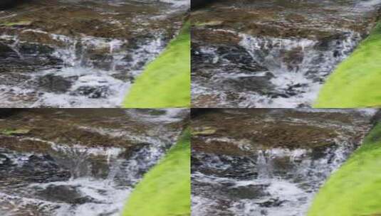 （慢镜）长满苔藓的小溪清澈的流水竖版高清在线视频素材下载