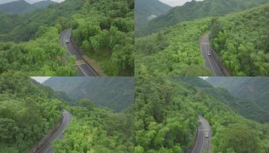 汽车行驶在春季山间树林竹林山区高清在线视频素材下载