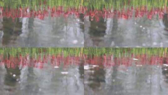 春天的溪流慢镜头流动高清在线视频素材下载
