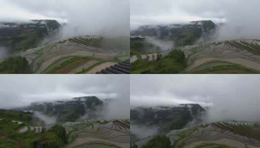 大雾中的加榜梯田高清在线视频素材下载