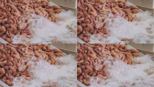 机器洗红薯视频高清在线视频素材下载