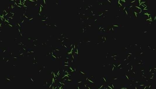 竹叶粒子飞舞动画高清在线视频素材下载