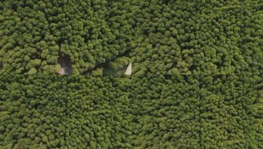 航拍杭州青山湖水上森林高清在线视频素材下载