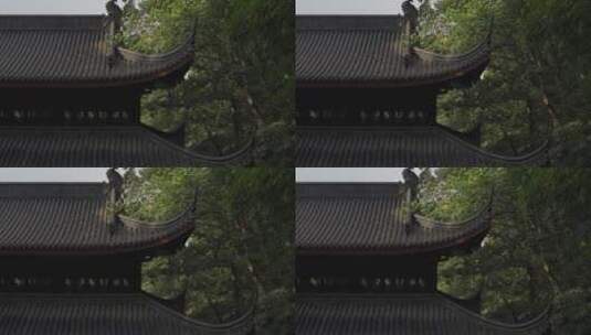 杭州凤凰山万松书院风景高清在线视频素材下载