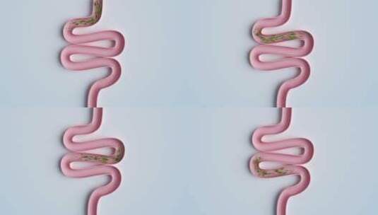 绿色叶子穿过粉色肠道抽象肠道清理3D高清在线视频素材下载
