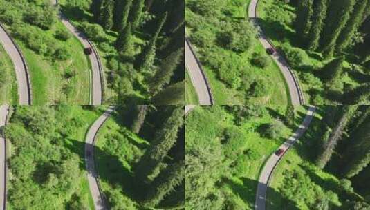 自驾游草原森林汽车航拍高清在线视频素材下载