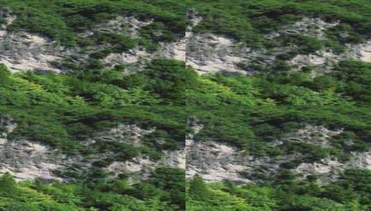 航拍湖北神农架5A景区神农坛竖屏高清在线视频素材下载