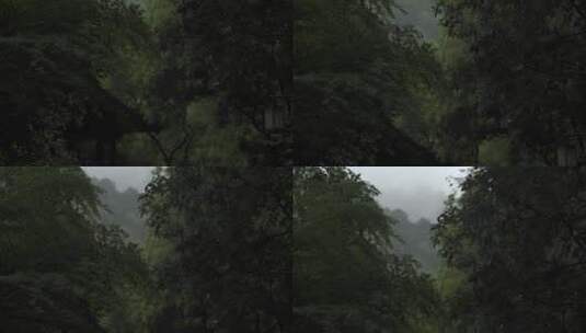 云栖竹径 杭州西湖 庭院水墨画高清在线视频素材下载