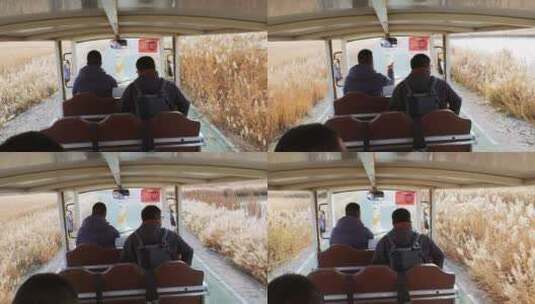 游客乘坐观光车行驶在深秋景区高清在线视频素材下载