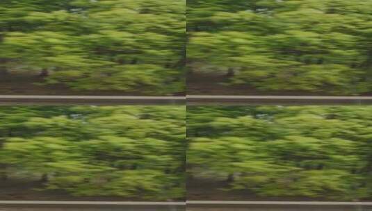 高铁窗外快速掠过的树 竖屏高清在线视频素材下载