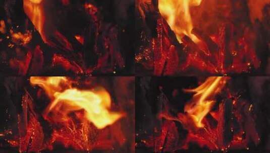 燃烧的火堆高清在线视频素材下载