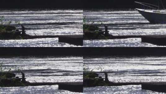 尼罗河源头高清在线视频素材下载