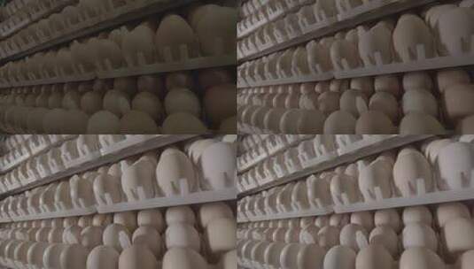 鸡蛋养鸡场鸡蛋孵化车间鸡蛋扫光LOG高清在线视频素材下载
