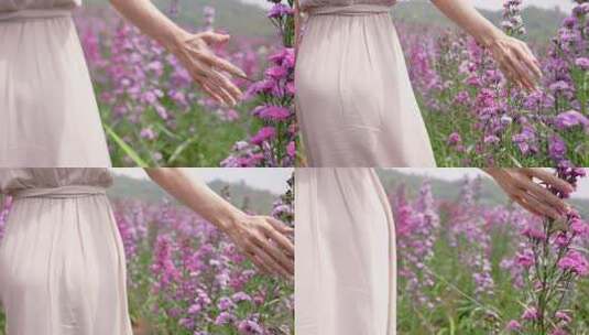 女人的手温柔地触摸紫色花朵高清在线视频素材下载