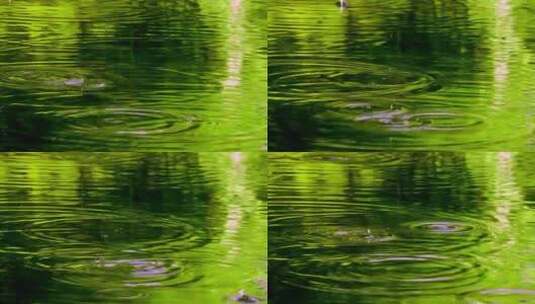 雨滴落入碧绿的湖面泛起涟漪高清在线视频素材下载