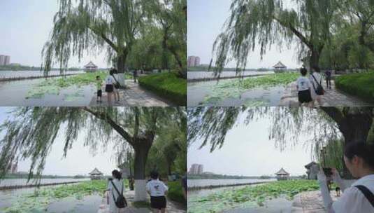 济南大明湖风景名胜区夏季风光高清在线视频素材下载