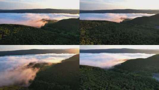 FPV航拍绿色森林云海阳光森林云雾高清在线视频素材下载