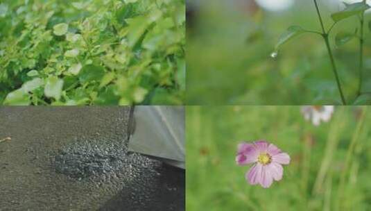 雨过天晴高清在线视频素材下载