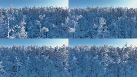 大兴安岭航拍林海雪原银装素裹高清在线视频素材下载