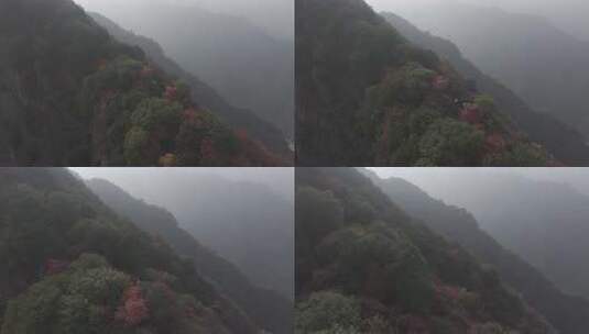 秋季壮美山河红叶高清在线视频素材下载