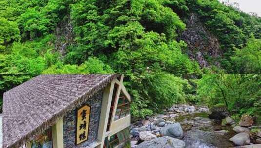 神农架崖蜜高清在线视频素材下载