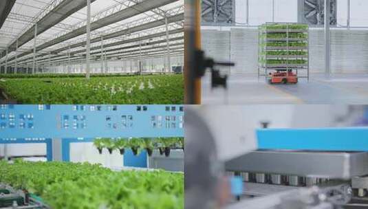 智慧农业自动化种植 现代农业科技创新高清在线视频素材下载
