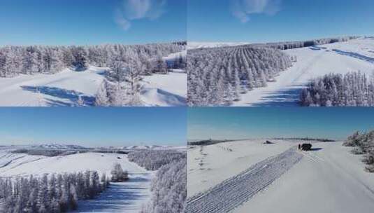 银装素裹的雪山森林壮丽景色高清在线视频素材下载