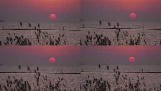 海上日落的唯美景色高清在线视频素材下载
