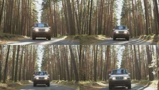 女人从车窗口探出身子欣赏森林风景高清在线视频素材下载