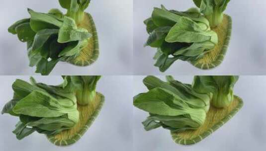 上海青蔬菜4K实拍视频高清在线视频素材下载