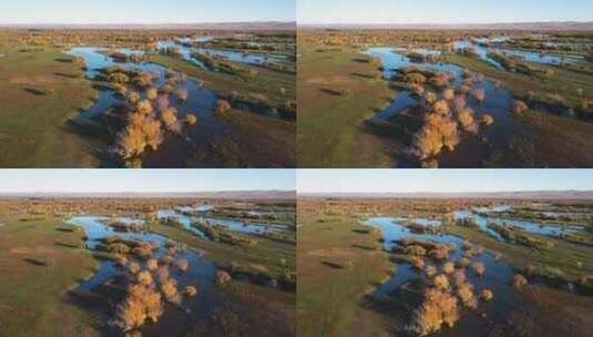 航拍秋天的呼伦贝尔额尔古纳湿地-030高清在线视频素材下载