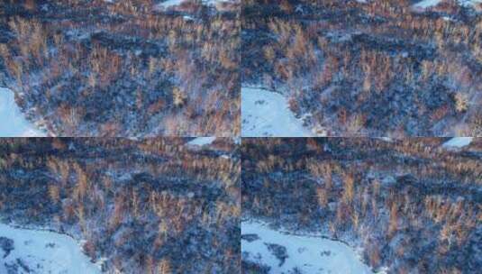 航拍东北林海雪原夕照高清在线视频素材下载