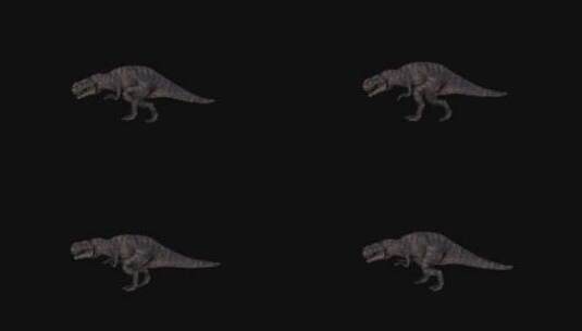 恐龙史前巨兽高清在线视频素材下载