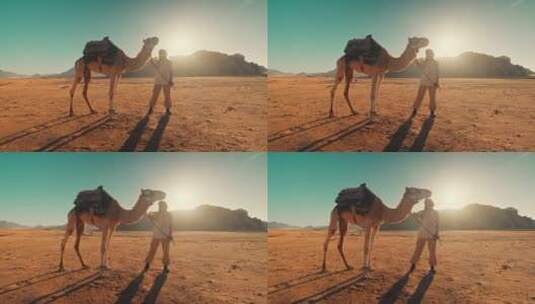 女人手牵骆驼站在沙漠中高清在线视频素材下载