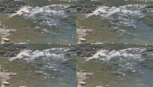 纯洁河水水流高清在线视频素材下载