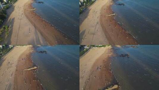厦门航拍厦大白城沙滩景观高清在线视频素材下载