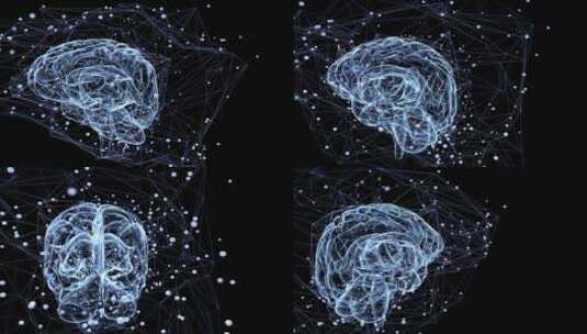 大脑中的思维过程高清在线视频素材下载
