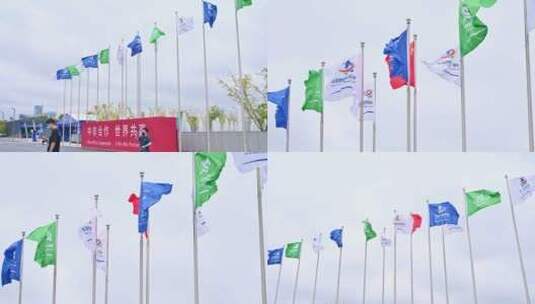 中非博览会各方旗帜红旗高清在线视频素材下载